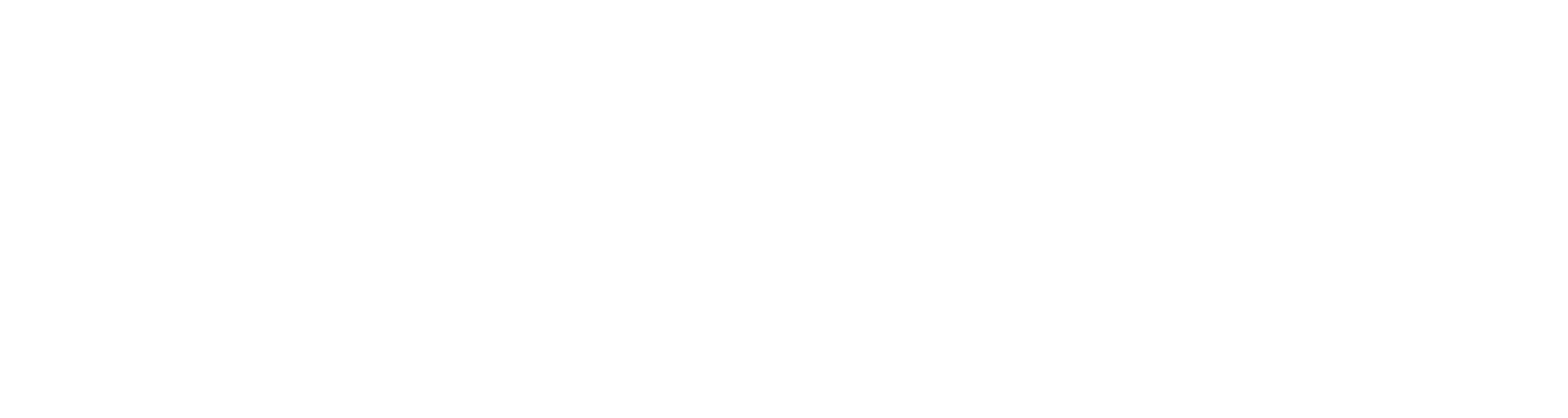 Rebolledo Consulting Group